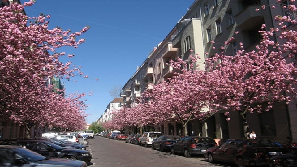 Neighbouring street