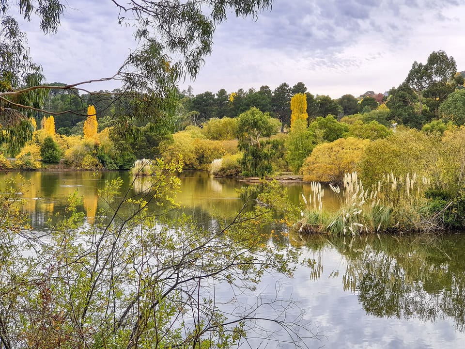 Autumn at Lake Daylesford nearby