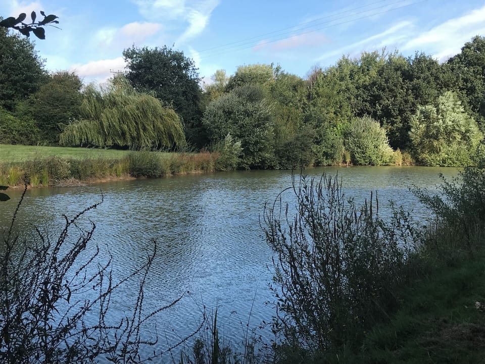 Lake