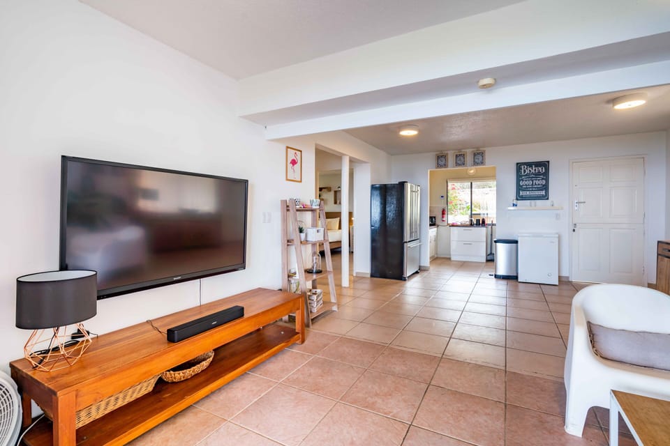 TV corner with 55 inch Smart TV for streaming and BOSE sound bar