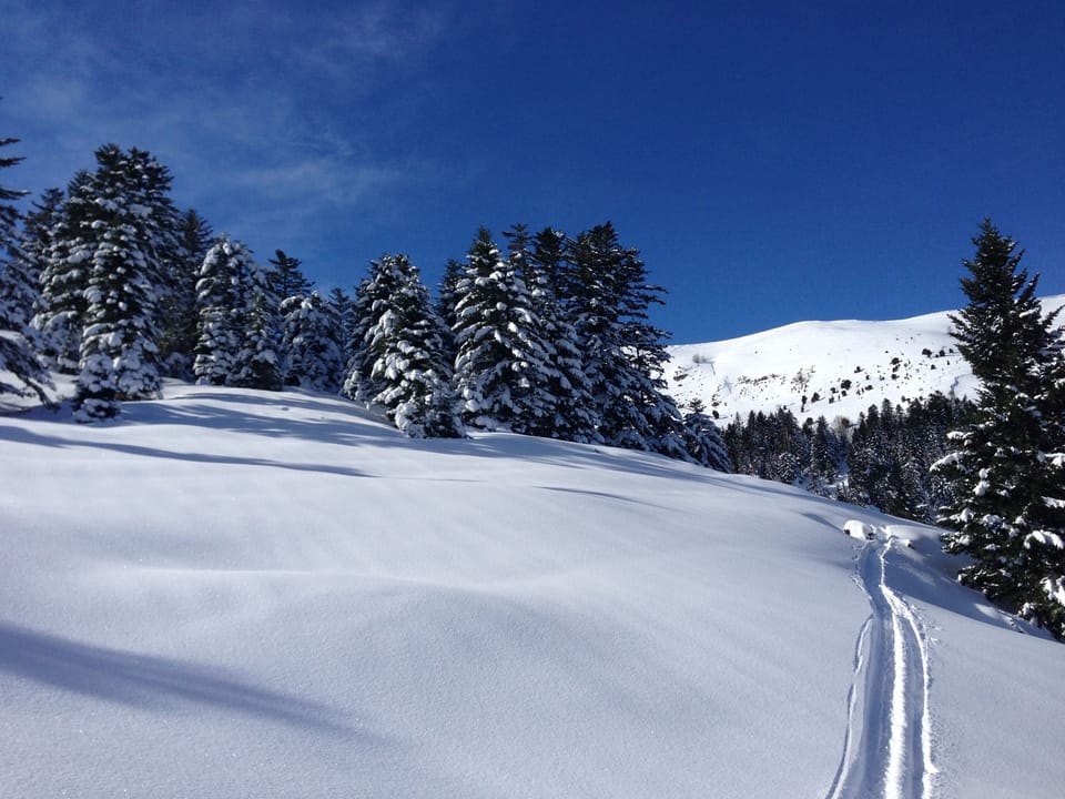 Snow and ski sports