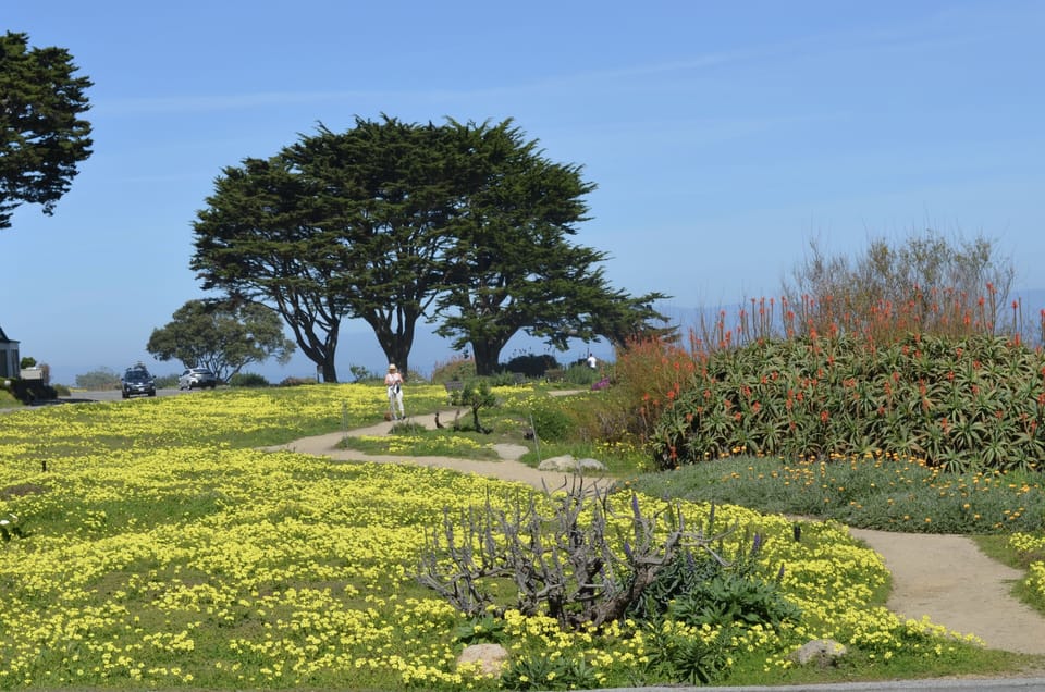 Recreational path along the ocean across the street from the house.