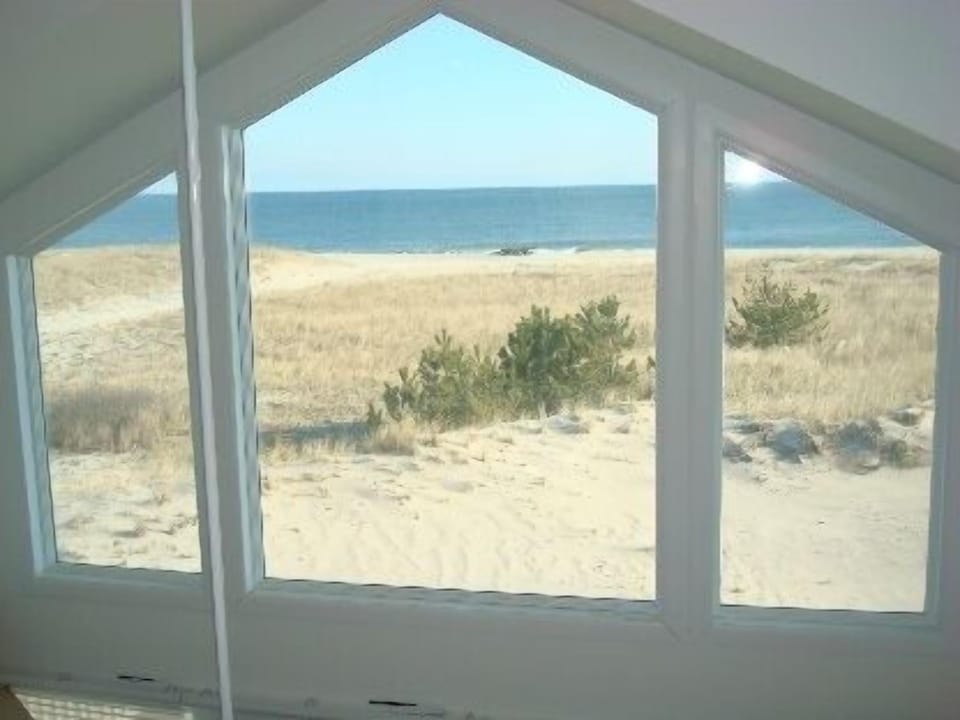 View from Wall of Glass