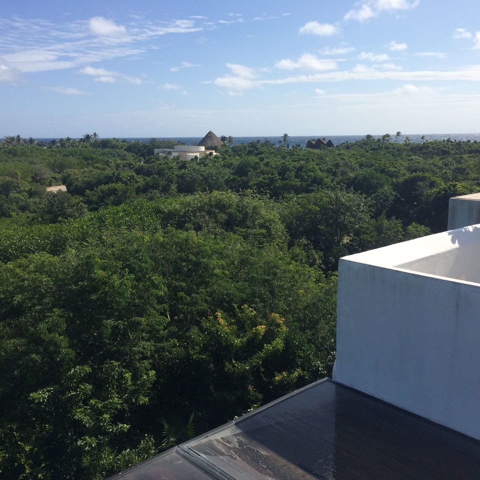 View from common area terrace 3rd floor between condo B and D.