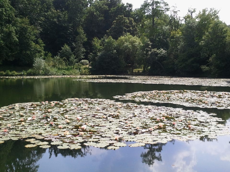 Pond of Ville d'Avray