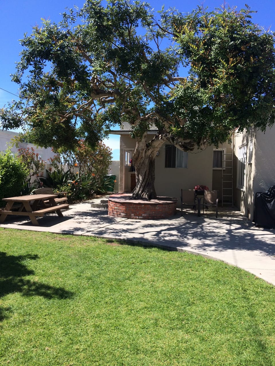 Back yard with BBQ
