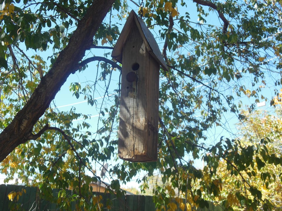 funky birdhouse
