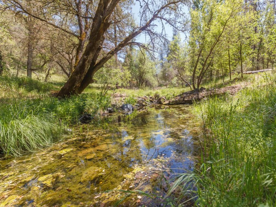 Seasonal creek in back yard of vacation rental