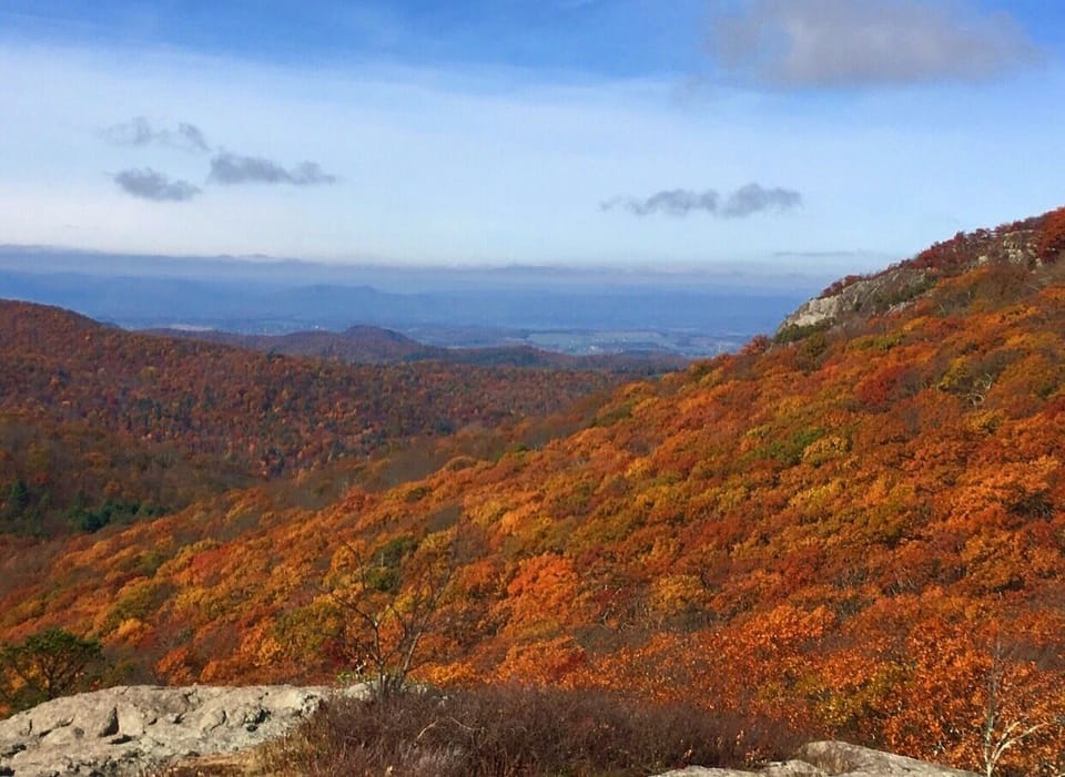 Make sure to visit Bold Rock Hard Cider during your stay- only 25 mins away!