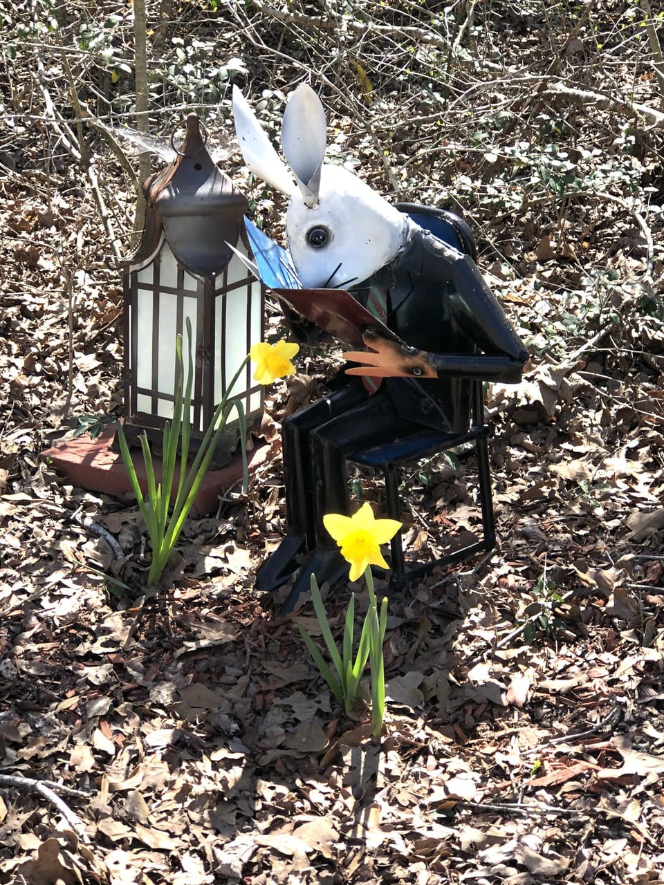 Reading our Great Reviews!