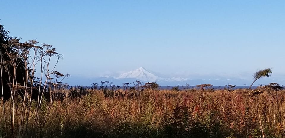 Fall view from cabin....