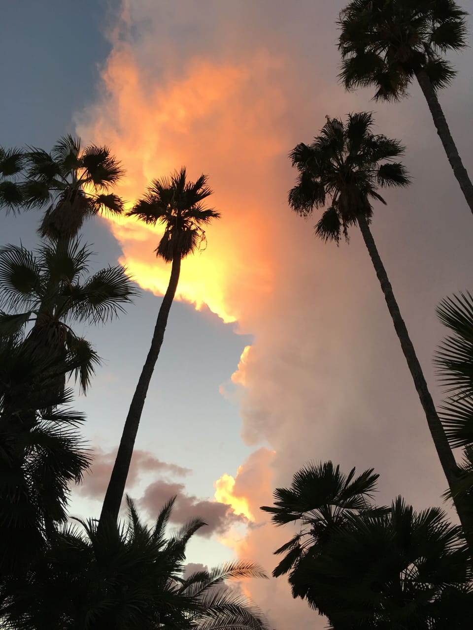 Glorious Arizona sunset over the pool.
