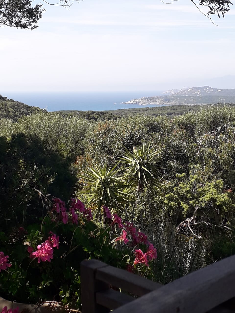View from property