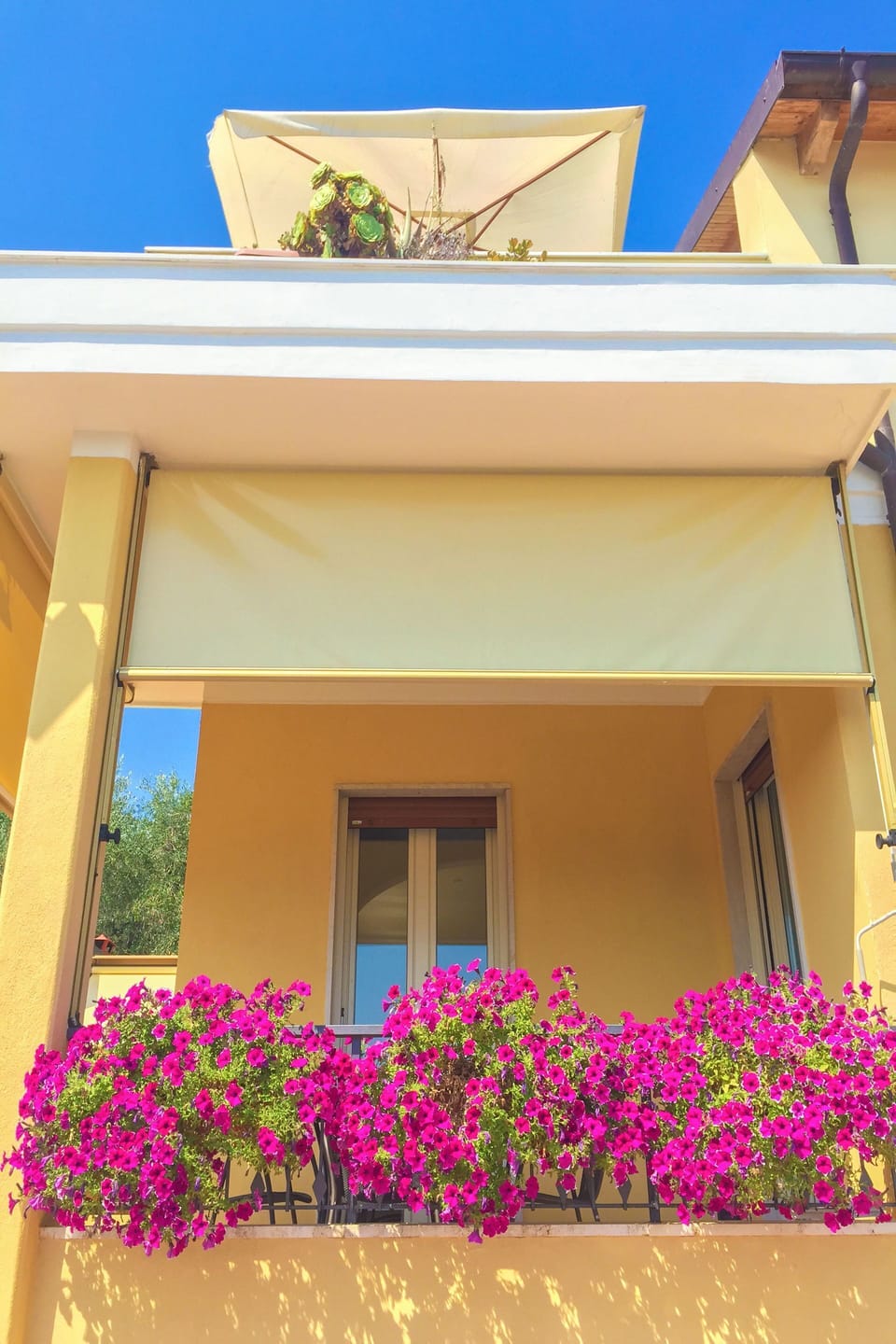 Balcony / Terrace / Patio