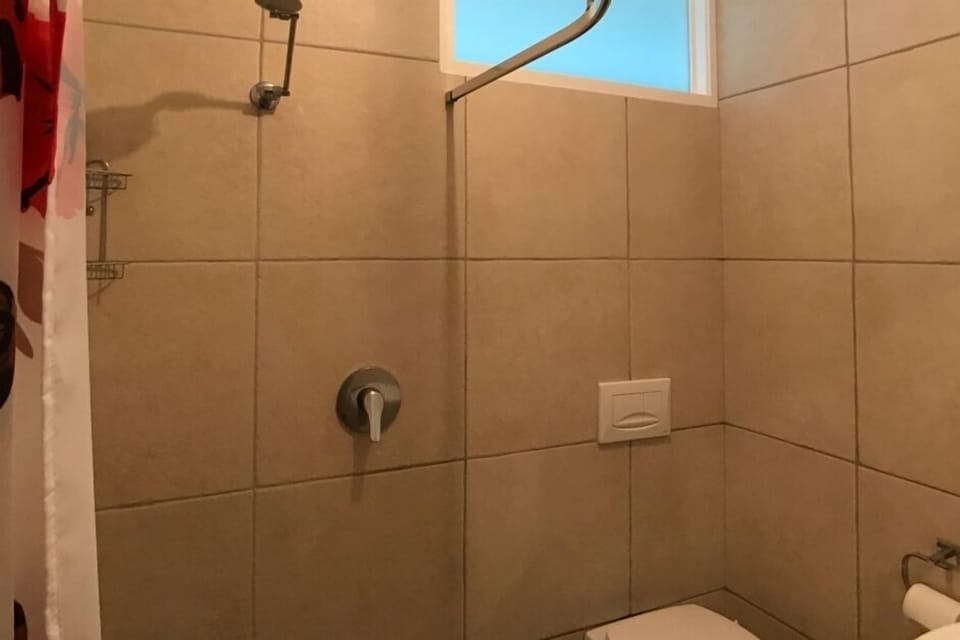 inside toilet and shower