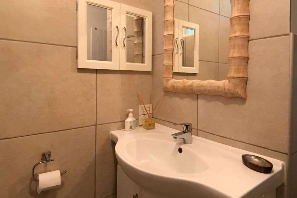 basin in shower/toilet