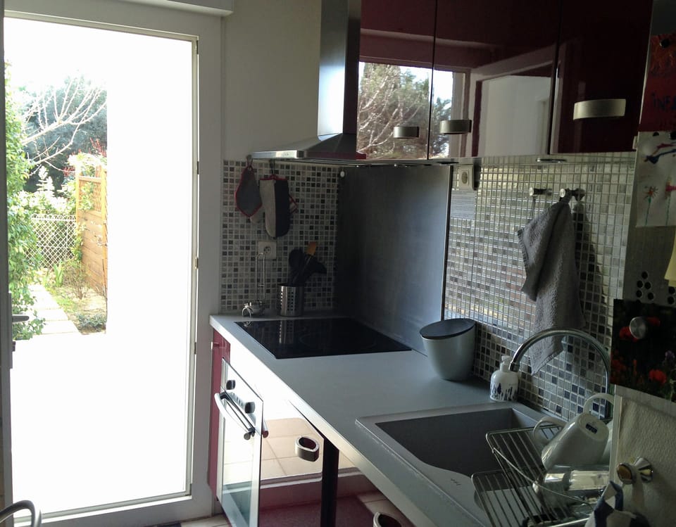 The well equiped kitchen with induction table, electric oven, dish washer, …