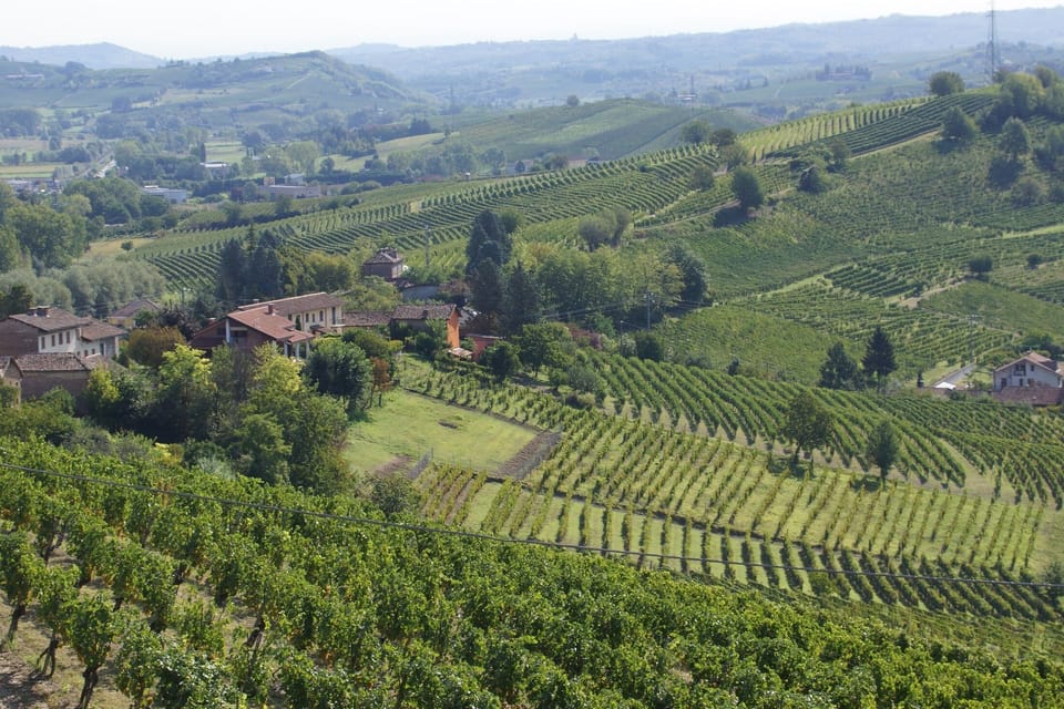 Vacation Home Sweet Dreams House in Piedmont