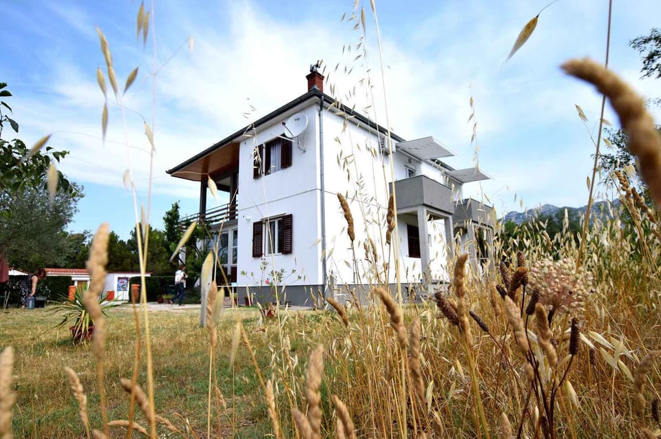 external view