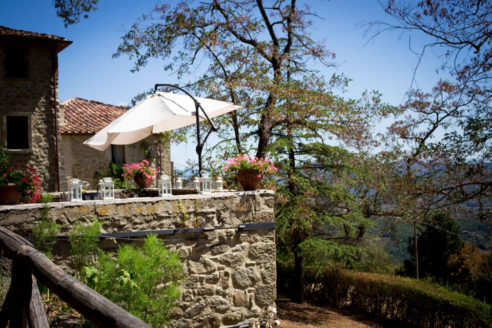the terrace