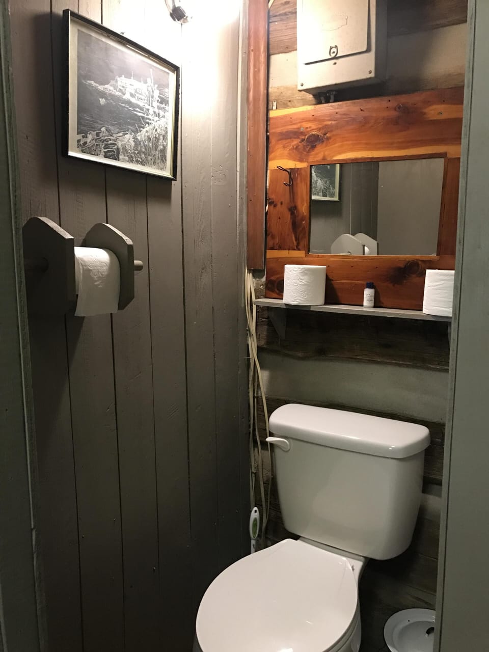 The bathroom in Annie's has a toilet and shower.  We supply small toiletries 