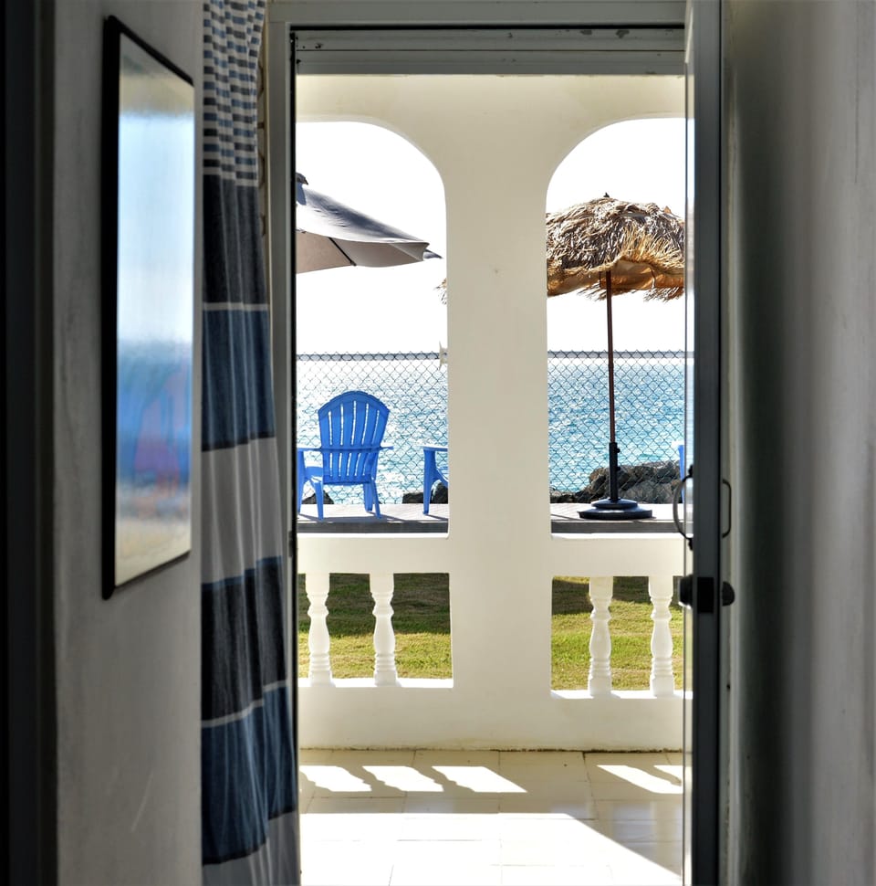 backdoor to the ocean


