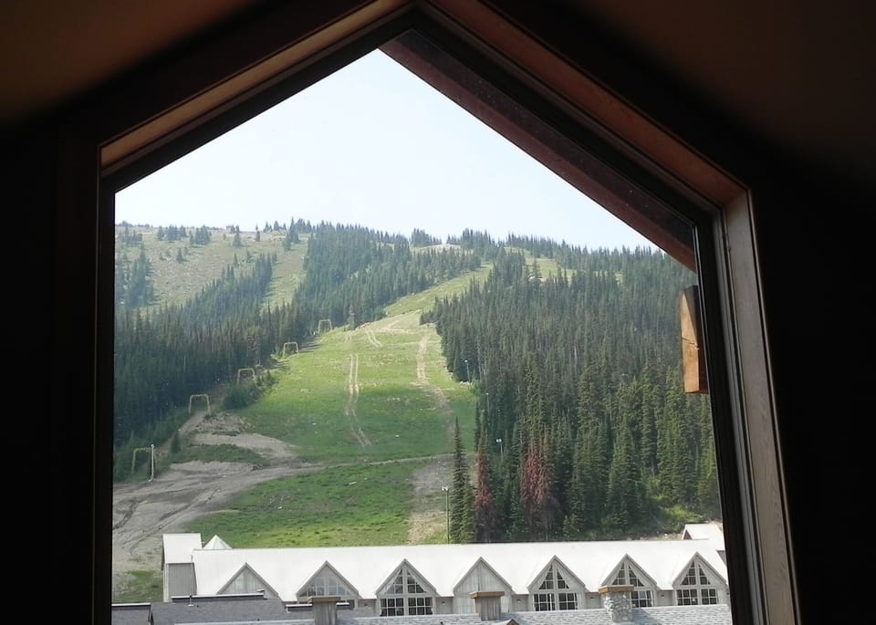 Summer view

