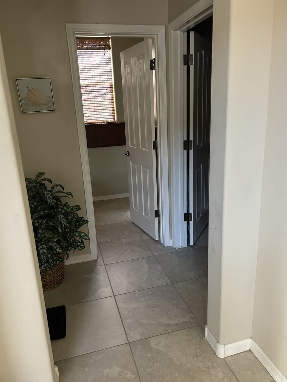 Entry Showing Access to Bathroom and Laundry and Garage