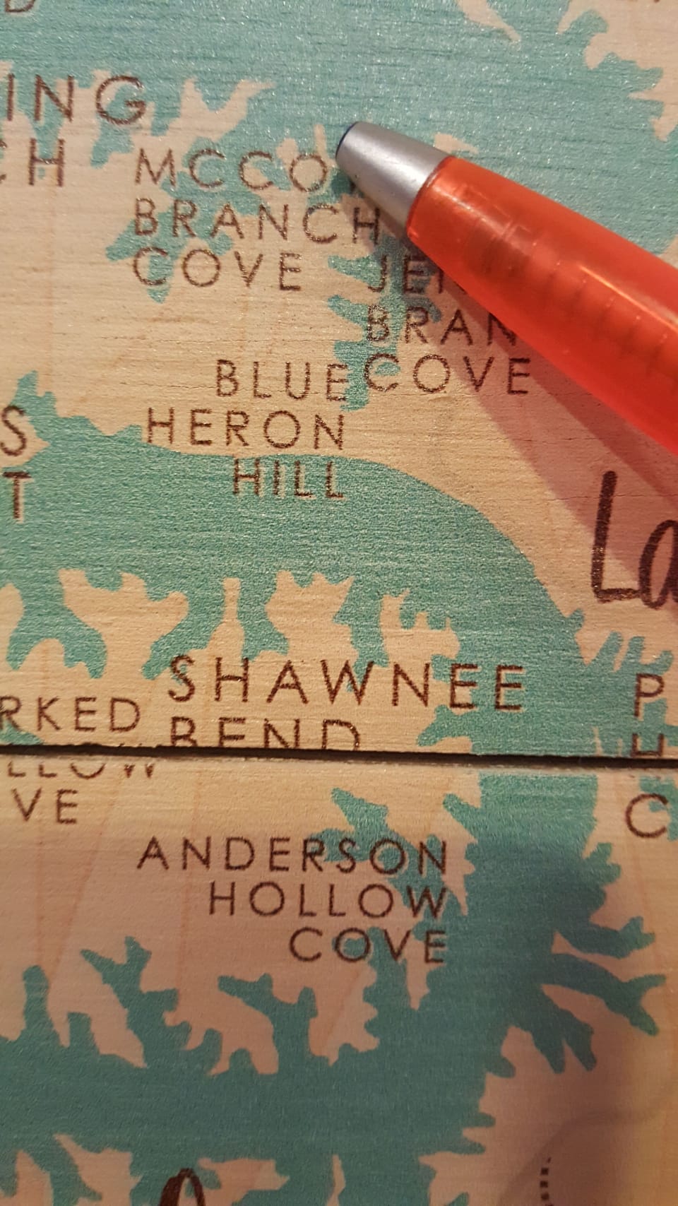 Map of our cove