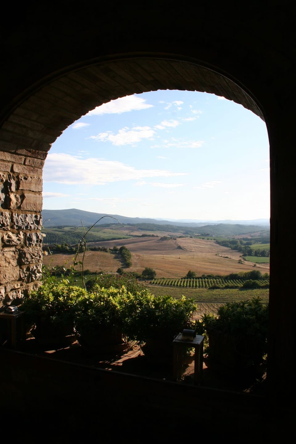 View from outdoor dining space