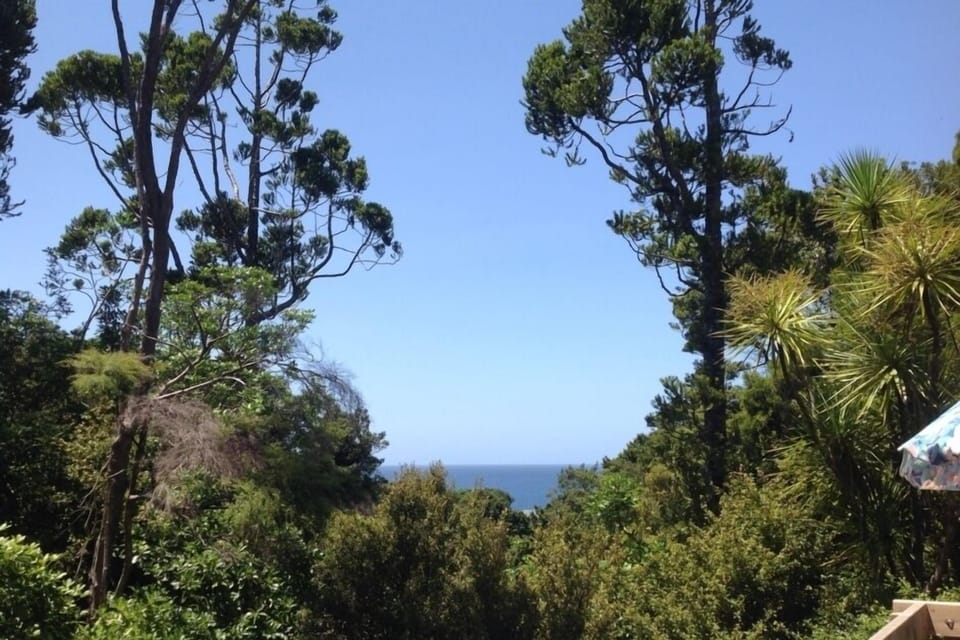 View to Coromandel