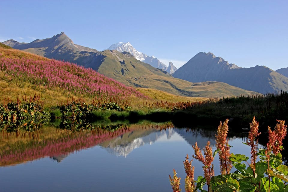 Visit the Alps in the fall and enjoy the colours!
