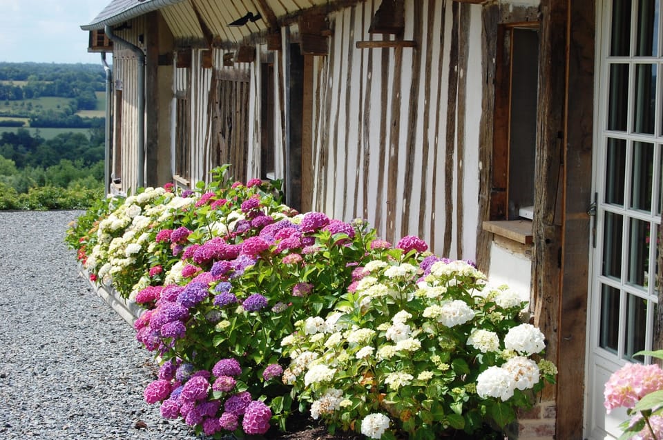 The Barn - cottage for 4