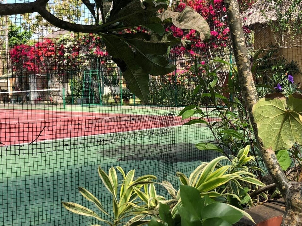 Sport court