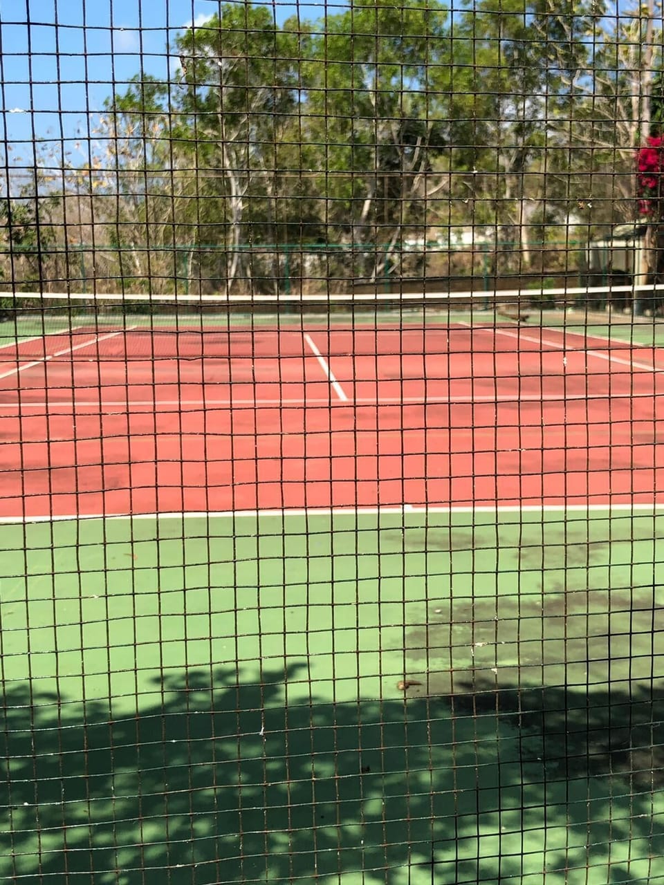 Sport court