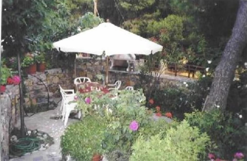 Garden, Park