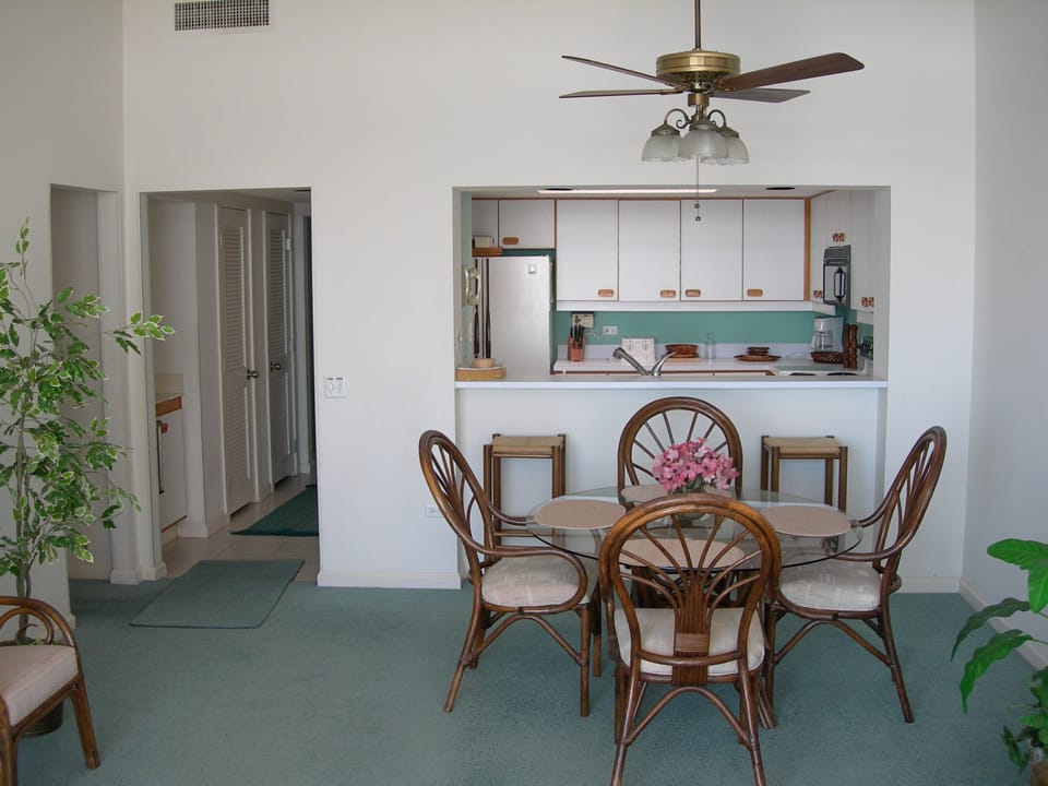 Looking from living area to dining area and kitchen