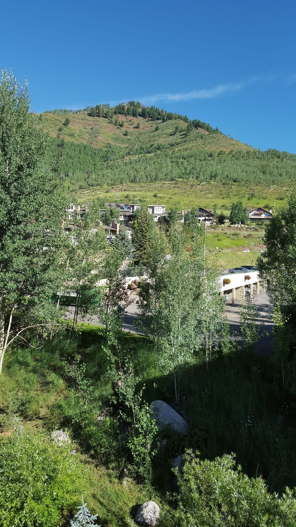 View of hillside from the Balcony