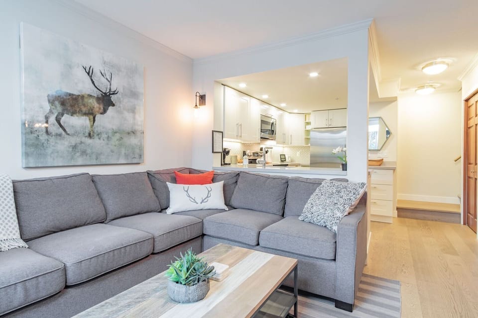 Living area: Pull-out sofa