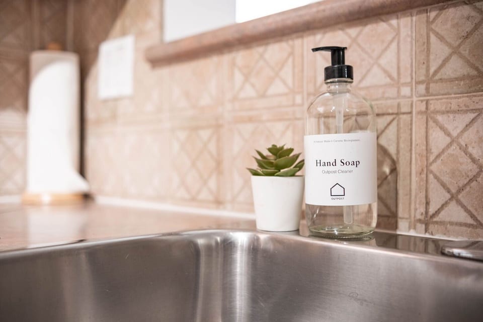 Complimentary hand and dish soap