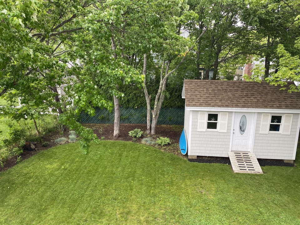 Large Back Yard with stunning views of the Marsh and the beauty of the birds.