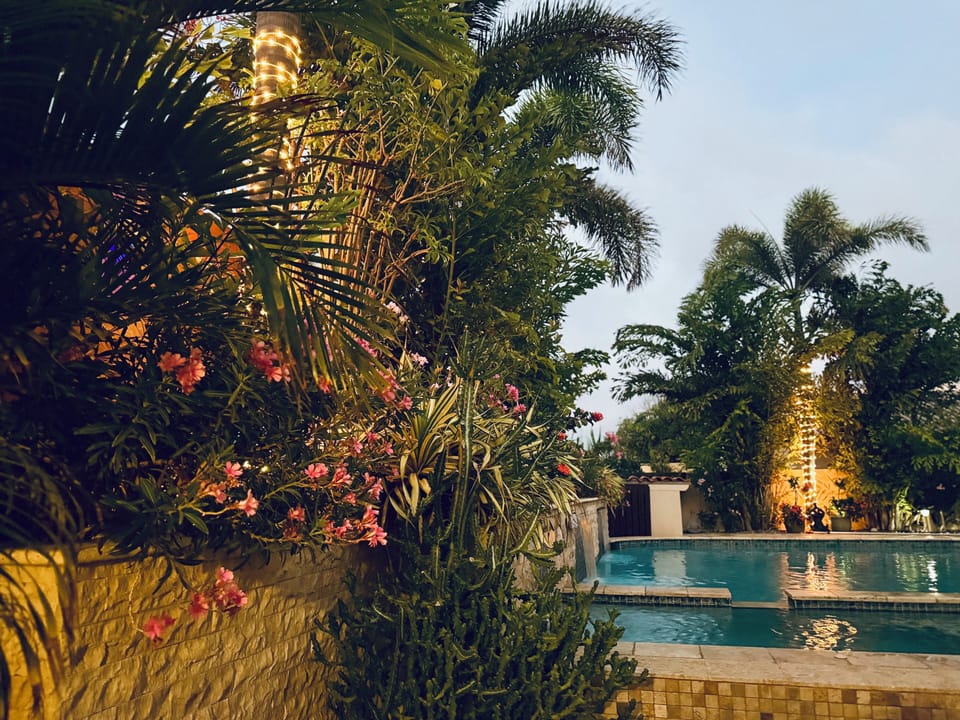 Paradise  at Dusk
