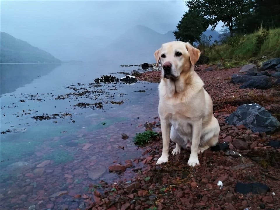 The beach in front of Saraig is fantastic for children and animals.