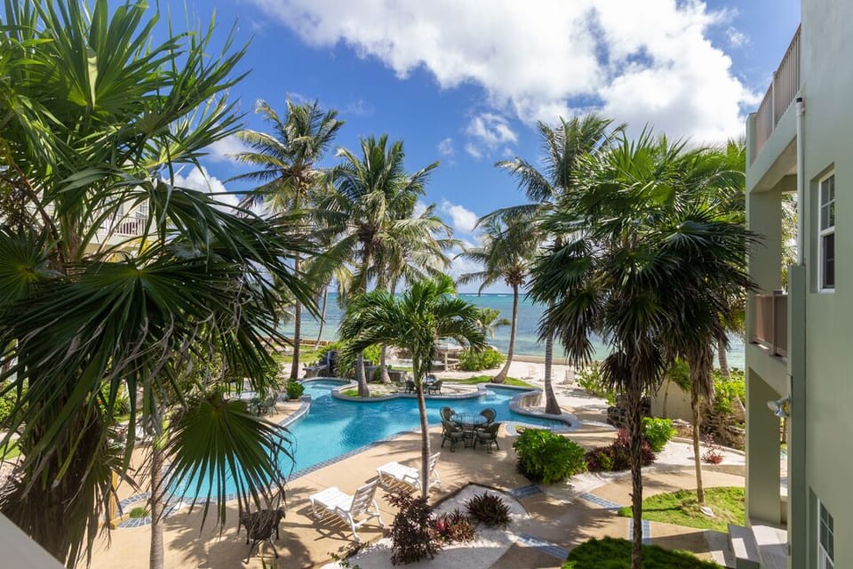 Patio view