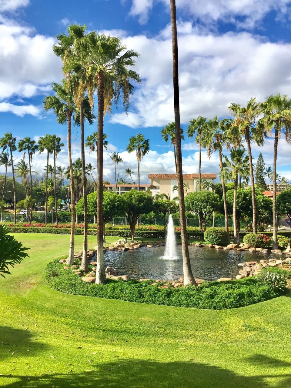 Fountain view from our lanai