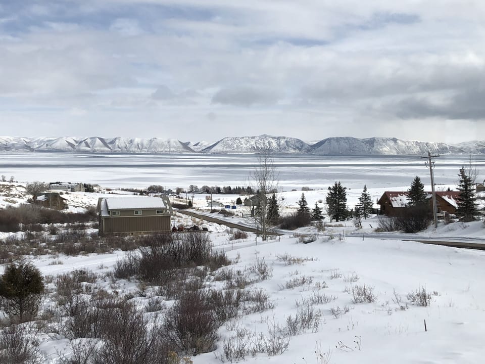 Winter view 