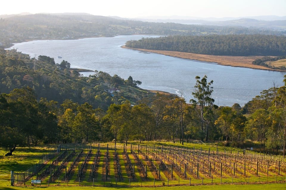 Hidden gems up the Tamar River - head out exploring
