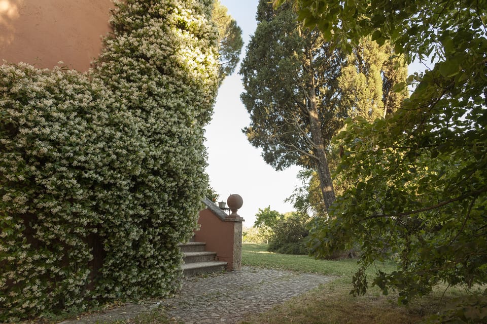 The jasmine tower