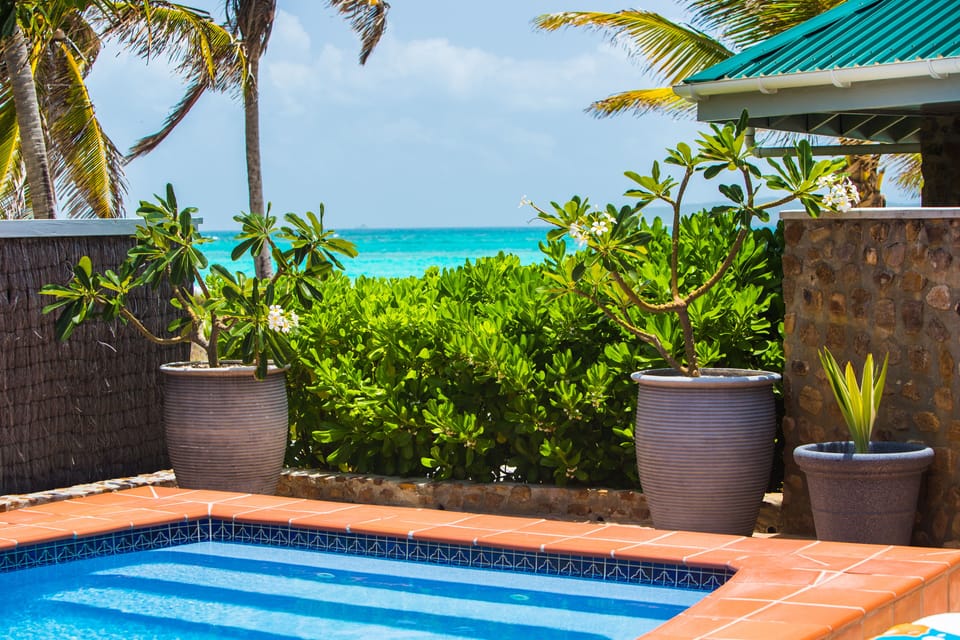 Poolside and ocean view