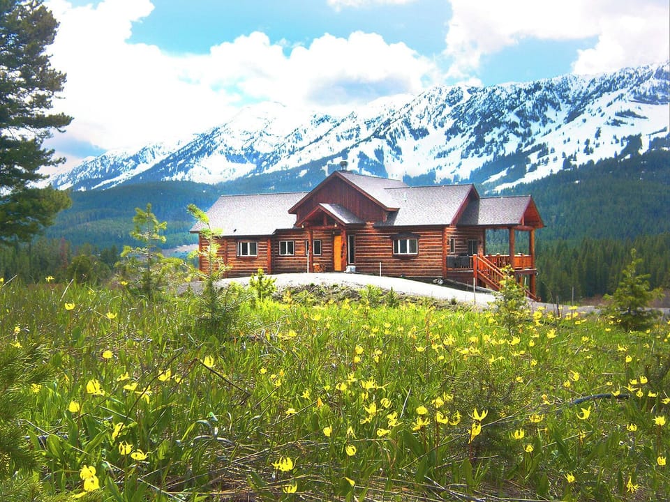 glacier lilies in May are amazing at Bridger Vista Lodge
